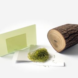 春季美容護(hù)膚小知識100條及春季美容護(hù)膚小知識100條圖片