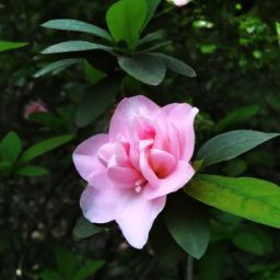樊文花美容護(hù)膚產(chǎn)品的價(jià)格究竟貴不貴？探尋市場(chǎng)定位與性?xún)r(jià)比